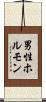 男性ホルモン Scroll