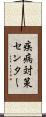 疾病対策センター Scroll