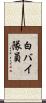 白バイ隊員 Scroll