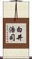 白井浩司 Scroll