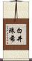 白井珠希 Scroll