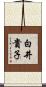 白井貴子 Scroll