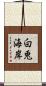 白兎海岸 Scroll