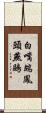 白嘴端鳳頭燕鷗 Scroll