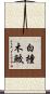 白撞木鮫 Scroll