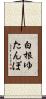 白根ゆたんぽ Scroll
