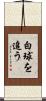 白球を追う Scroll