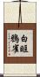 白眶鴉雀 Scroll