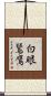 白眼鵟鷹 Scroll