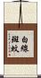 白線斑蚊 Scroll