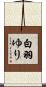 白羽ゆり Scroll