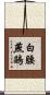 白腰燕鷗 Scroll