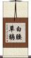 白腰草鷸 Scroll