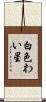 白色わい星 Scroll