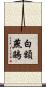 白額燕鷗 Scroll