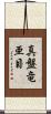 真盤竜亜目 Scroll