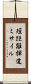 短距離弾道ミサイル Scroll