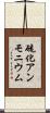 硫化アンモニウム Scroll