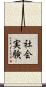 社会実験 Scroll