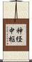 神経中枢 Scroll