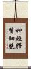 神經膠質細胞 Scroll