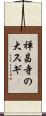 禅昌寺の大スギ Scroll