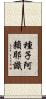種子阿賴耶識 Scroll