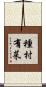 種村有菜 Scroll