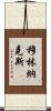 Mullinax Scroll