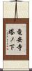 竜安寺塔ノ下 Scroll