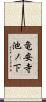 竜安寺池ノ下 Scroll