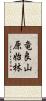 竜良山原始林 Scroll