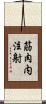 筋肉内注射 Scroll