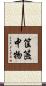 筐篋中物 Scroll