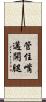 管住嘴邁開腿 Scroll