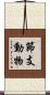節支動物 Scroll