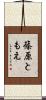 篠原ともえ Scroll