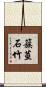 簇莖石竹 Scroll