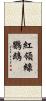 紅領綠鸚鵡 Scroll