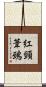 紅頸葦鵐 Scroll