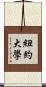 紐約大學 Scroll