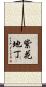 紫花地丁 Scroll