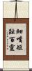 細嘴短趾百靈 Scroll