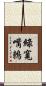 綠寬嘴鶇 Scroll
