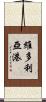 維多利亞港 Scroll