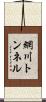 網川トンネル Scroll