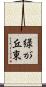 緑が丘東 Scroll