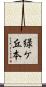 緑ケ丘本 Scroll