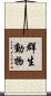 群生動物 Scroll