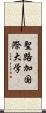 聖路加国際大学 Scroll